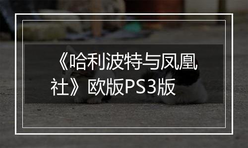 《哈利波特与凤凰社》欧版PS3版