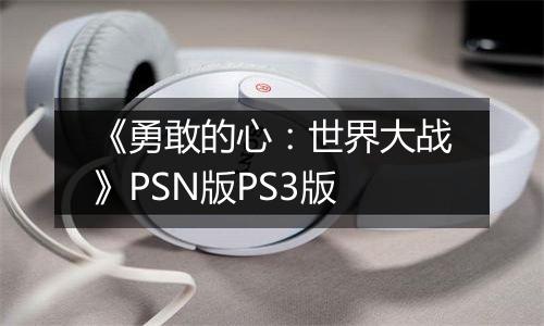 《勇敢的心：世界大战》PSN版PS3版