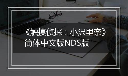 《触摸侦探:小沢里奈》 简体中文版NDS版