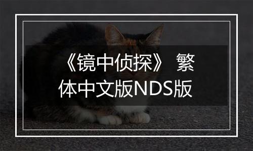 《镜中侦探》 繁体中文版NDS版