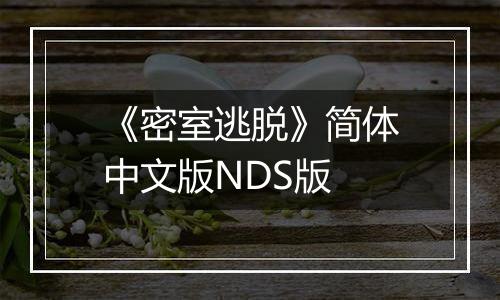 《密室逃脱》简体中文版NDS版
