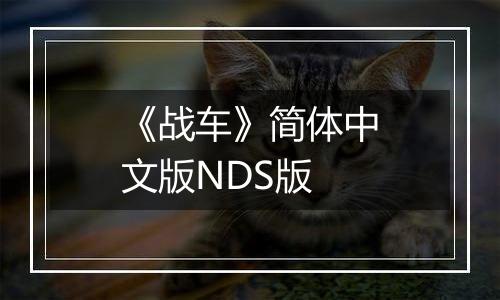 《战车》简体中文版NDS版