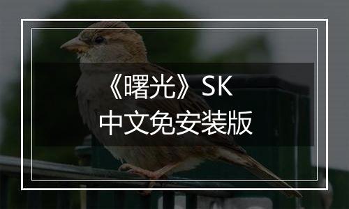 《曙光》SK中文免安装版