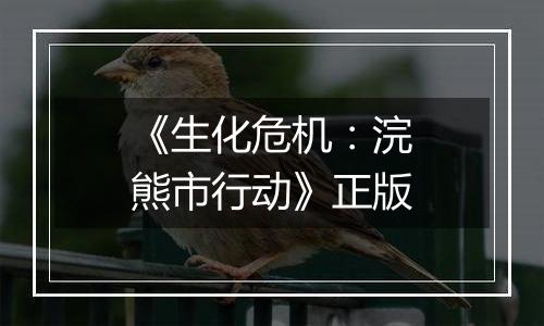 《生化危机：浣熊市行动》正版