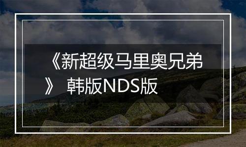 《新超级马里奥兄弟》 韩版NDS版