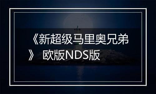《新超级马里奥兄弟》 欧版NDS版