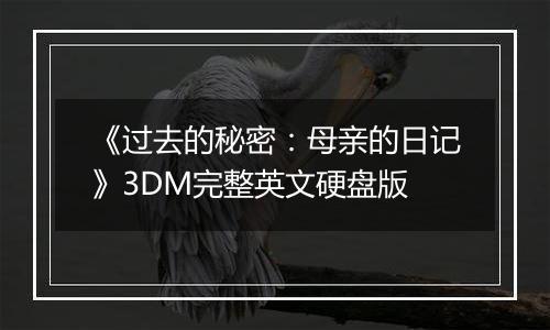 《过去的秘密:母亲的日记》3DM完整英文硬盘版
