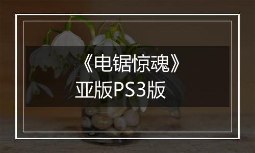 《电锯惊魂》亚版PS3版