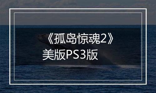 《孤岛惊魂2》美版PS3版