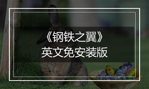 《钢铁之翼》英文免安装版