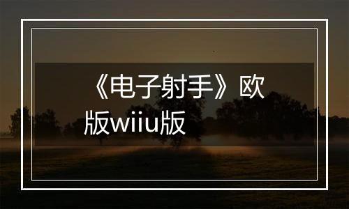 《电子射手》欧版wiiu版