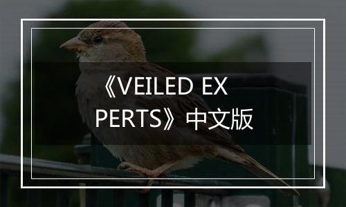 《VEILED EXPERTS》中文版