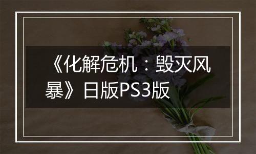《化解危机：毁灭风暴》日版PS3版