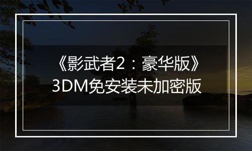《影武者2：豪华版》3DM免安装未加密版
