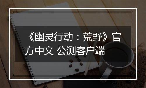 《幽灵行动：荒野》官方中文 公测客户端