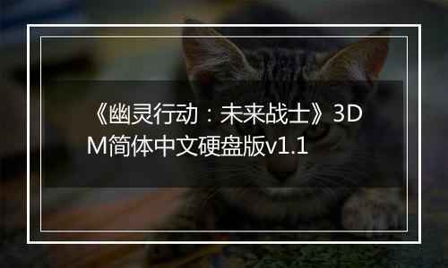 《幽灵行动：未来战士》3DM简体中文硬盘版v1.1