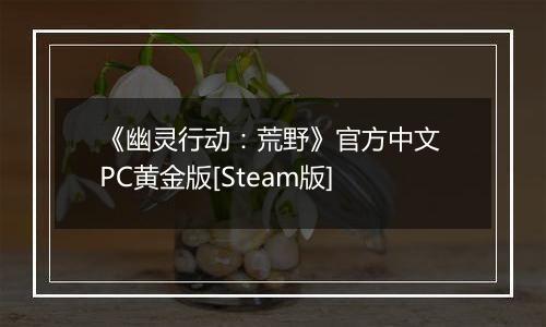 《幽灵行动：荒野》官方中文 PC黄金版[Steam版]