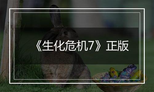 《生化危机7》正版