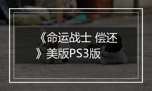 《命运战士 偿还》美版PS3版