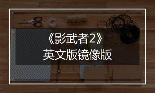 《影武者2》英文版镜像版