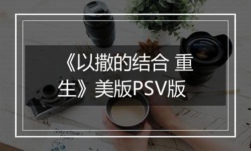 《以撒的结合 重生》美版PSV版