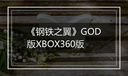 《钢铁之翼》GOD版XBOX360版
