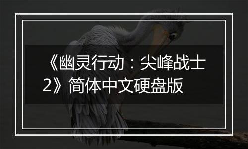 《幽灵行动：尖峰战士2》简体中文硬盘版