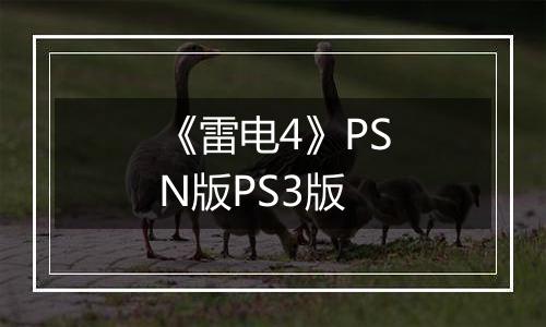 《雷电4》PSN版PS3版