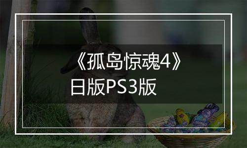 《孤岛惊魂4》日版PS3版