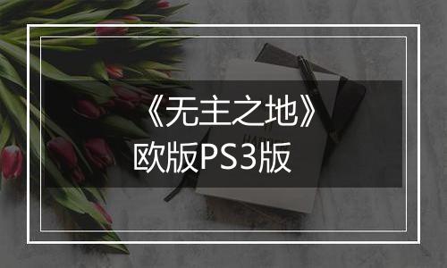 《无主之地》欧版PS3版