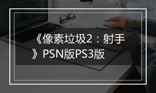 《像素垃圾2:射手》PSN版PS3版
