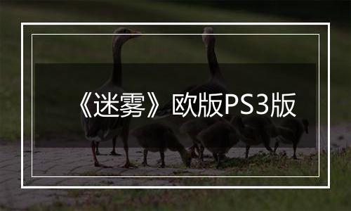 《迷雾》欧版PS3版