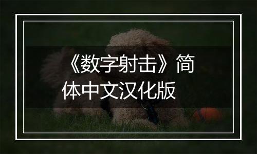 《数字射击》简体中文汉化版