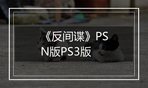 《反间谍》PSN版PS3版