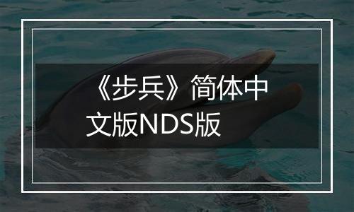 《步兵》简体中文版NDS版