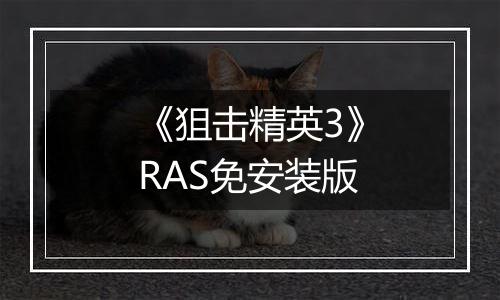 《狙击精英3》RAS免安装版