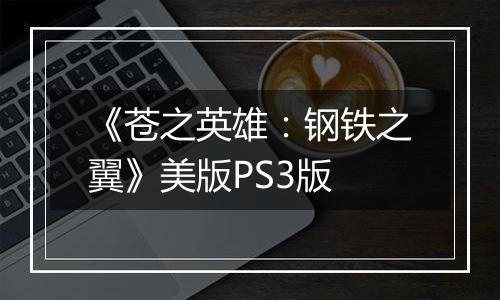 《苍之英雄：钢铁之翼》美版PS3版