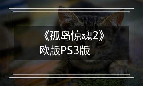 《孤岛惊魂2》欧版PS3版