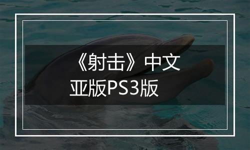 《射击》中文亚版PS3版