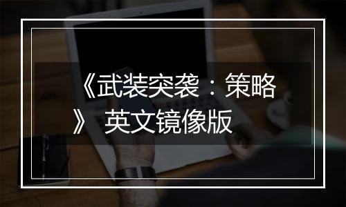 《武装突袭：策略》 英文镜像版