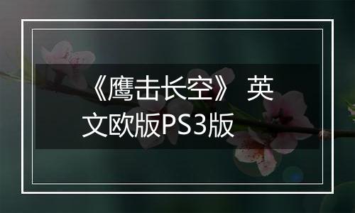 《鹰击长空》 英文欧版PS3版