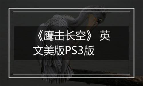 《鹰击长空》 英文美版PS3版