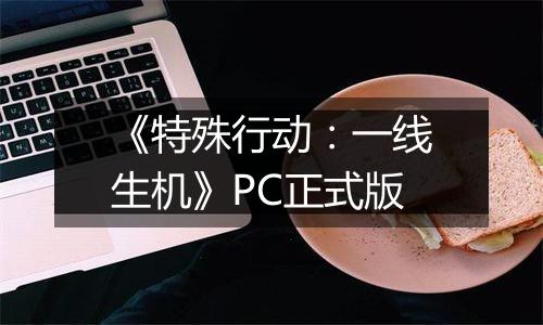 《特殊行动：一线生机》PC正式版