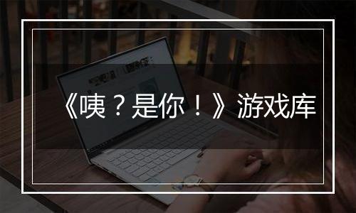 《咦？是你！》游戏库