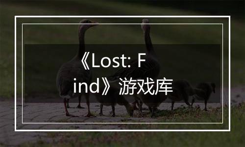 《Lost: Find》游戏库