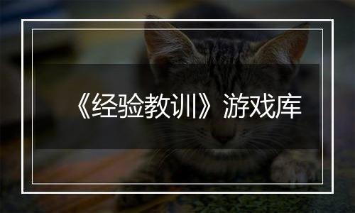 《经验教训》游戏库