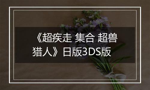 《超疾走 集合 超兽猎人》日版3DS版