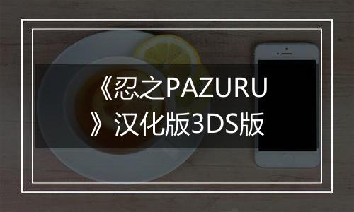 《忍之PAZURU》汉化版3DS版