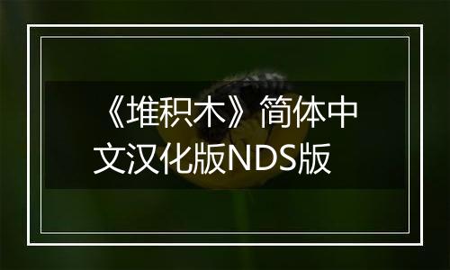 《堆积木》简体中文汉化版NDS版
