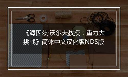 《海因兹·沃尔夫教授：重力大挑战》简体中文汉化版NDS版